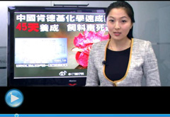 權(quán)威聲音：“快時(shí)代”究竟還有什么可以速成？