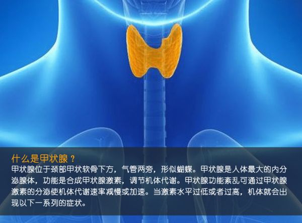 關(guān)注甲狀腺健康，你應(yīng)該知道的那些事