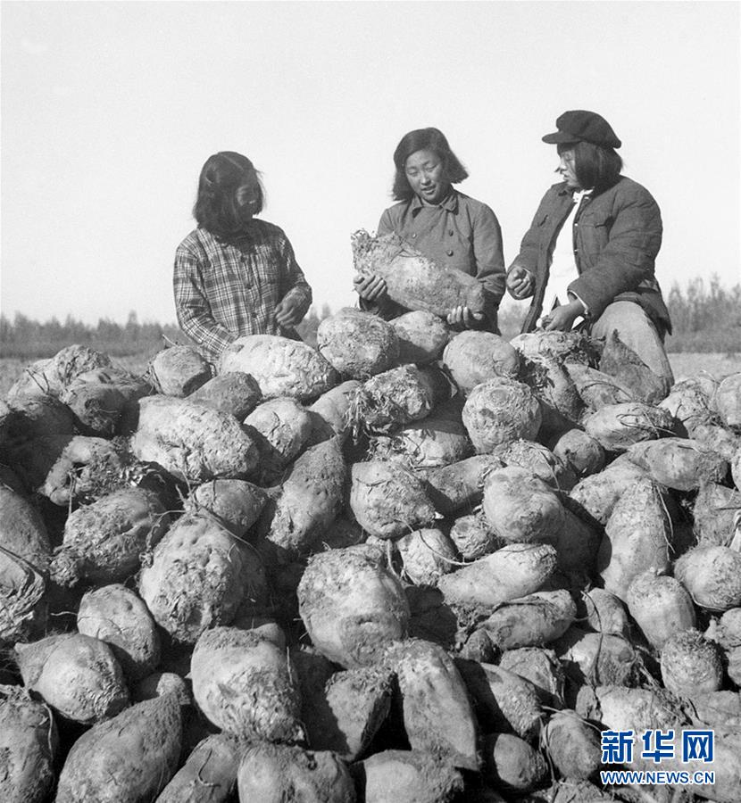 （圖文互動）（2）為了“中國號”巨輪揚帆遠航——中國共產(chǎn)黨領(lǐng)導(dǎo)下的人民軍隊忠于祖國、服務(wù)人民啟示錄