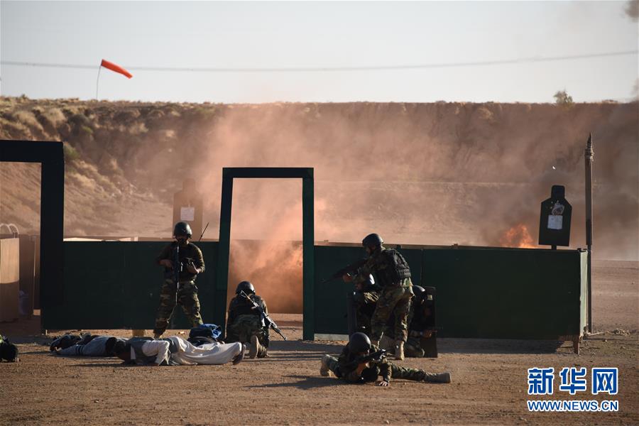 (國際·圖文互動(dòng))(3)“海洋衛(wèi)士-2020”中巴海上聯(lián)合演習(xí)閉幕