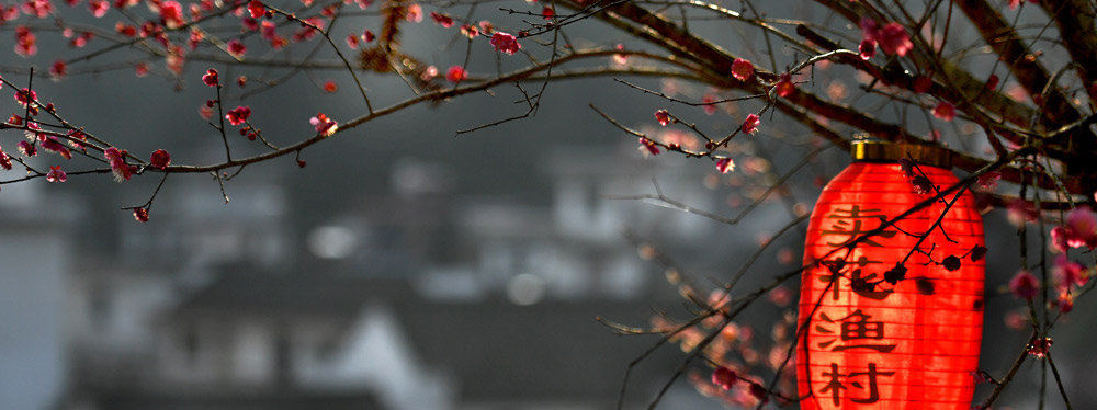 春來花開，綻放正當(dāng)時(shí)