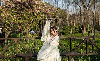 徜徉櫻花花海，來場(chǎng)動(dòng)漫之旅