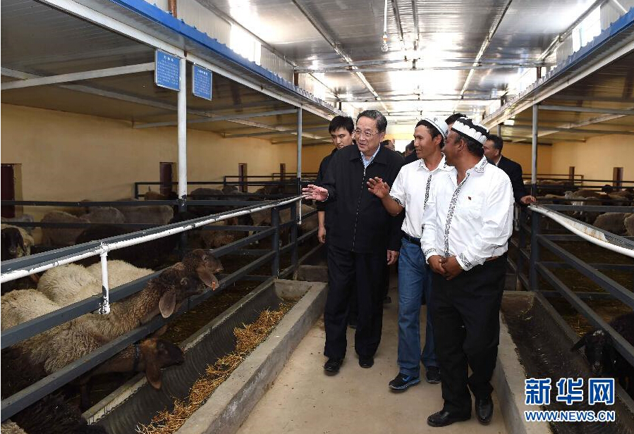 9月27日，中共中央政治局常委、全國(guó)政協(xié)主席、中央代表團(tuán)團(tuán)長(zhǎng)俞正聲率中央代表團(tuán)部分成員赴喀什地區(qū)莎車縣看望各族干部群眾。這是俞正聲在新疆生產(chǎn)建設(shè)兵團(tuán)第三師莎車農(nóng)場(chǎng)實(shí)地察看萬(wàn)只羊養(yǎng)殖基地。新華社記者 饒愛民 攝