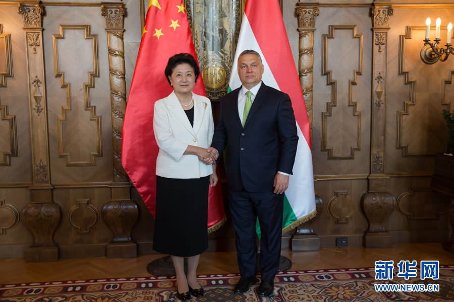  6月21日，國務(wù)院副總理劉延?xùn)|（左）在匈牙利布達(dá)佩斯國會大廈會見匈牙利總理歐爾班。 新華社發(fā)（弗爾季·奧蒂洛攝）