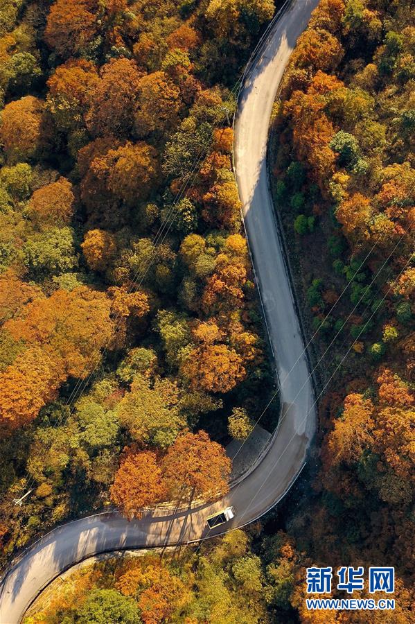 (新華全媒頭條·新時(shí)代新氣象新作為·圖文互動(dòng))(9)抬腳踏上水泥路,出門坐上公交車——我國(guó)竭力破除農(nóng)村交通“最后一公里”瓶頸