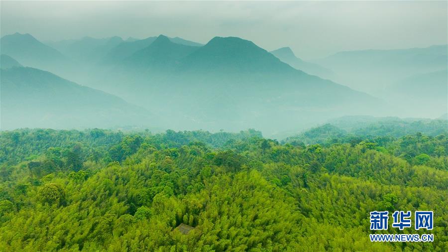 （新華全媒頭條·圖文互動）（9）赤水：別了，貧困！