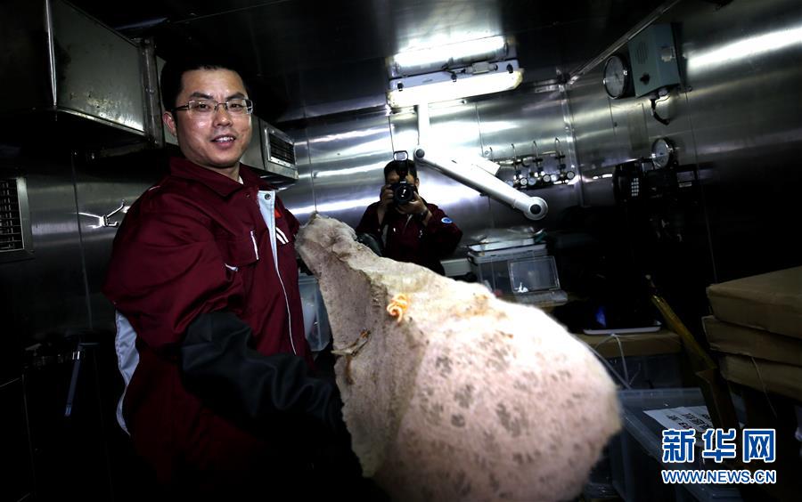 （圖文互動(dòng)）（6）&ldquo;科學(xué)&rdquo;號在麥哲倫海山展開綜合調(diào)查