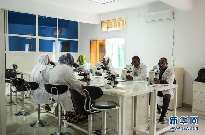 （新華全媒頭條&middot;世界防治瘧疾日&middot;圖文互動）（2）&ldquo;月亮之國&rdquo;的驅(qū)魔人&mdash;&mdash;記非洲抗瘧戰(zhàn)場上的廣東團(tuán)隊(duì)