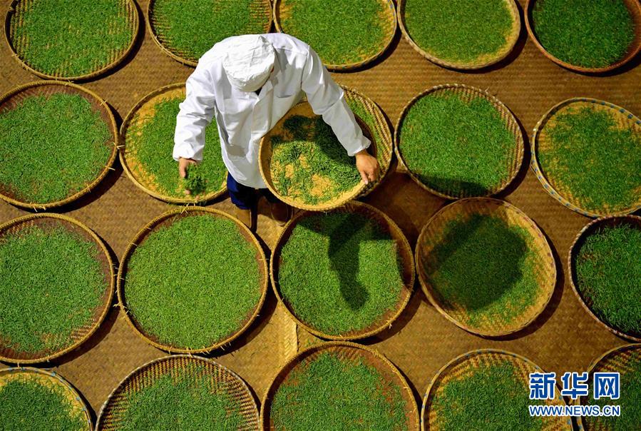 #(社會)(3)人間至味“冷后渾”