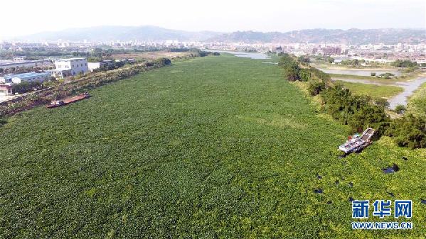 （圖文互動）（1）&ldquo;白練&rdquo;變&ldquo;黑龍&rdquo;，江河變&ldquo;草原&rdquo;－－粵東母親河為何污染20多年難治理？