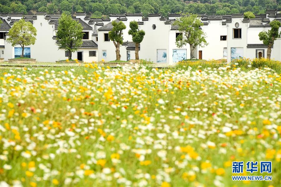 （新華全媒頭條&middot;搶救古民居&middot;圖文互動）（2）當(dāng)古民居遇上城鎮(zhèn)化，如何留住鄉(xiāng)愁？