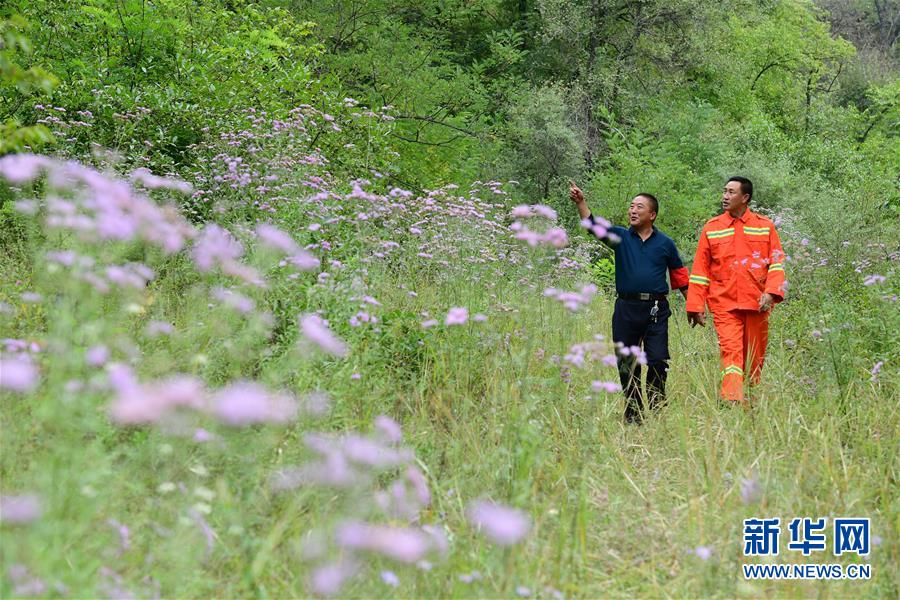 （壯闊東方潮 奮進(jìn)新時(shí)代&mdash;&mdash;慶祝改革開放40年）（3）退耕還林20年 延安大地譜新篇