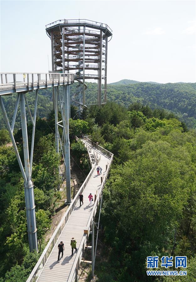 （壯闊東方潮 奮進(jìn)新時代&mdash;&mdash;慶祝改革開放40年）（14）退耕還林20年 延安大地譜新篇