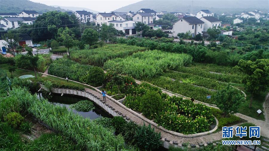 （在習近平新時代中國特色社會主義思想指引下——新時代新作為新篇章·圖文互動）（1）稀奇！治污濕地成了休閑公園——江蘇蘇州全域推進農(nóng)村生活污水治理