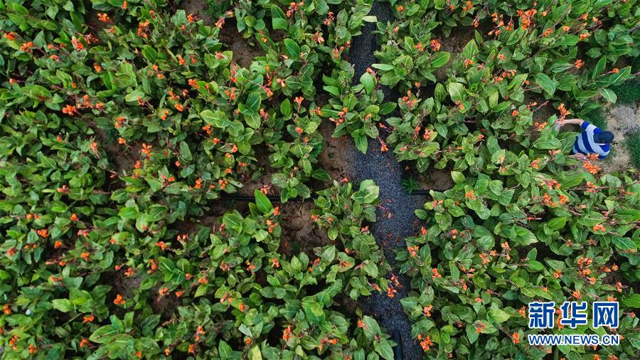 （在習(xí)近平新時代中國特色社會主義思想指引下&mdash;&mdash;新時代新作為新篇章&middot;圖文互動）（5）稀奇！治污濕地成了休閑公園&mdash;&mdash;江蘇蘇州全域推進(jìn)農(nóng)村生活污水治理