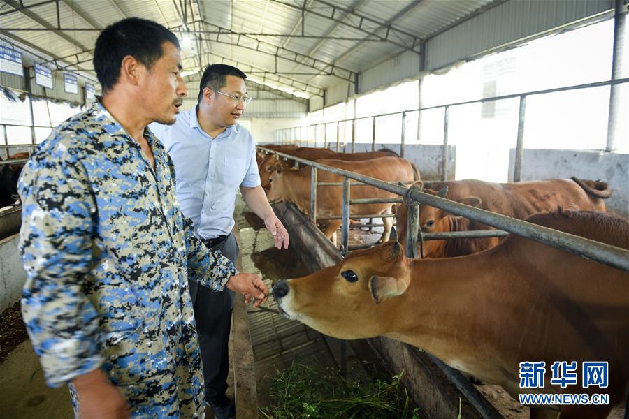 （脫貧攻堅(jiān)·圖文互動(dòng)）（2）“不畏難、不畏煩、不畏苦”——記“80后”扶貧干部李朝陽