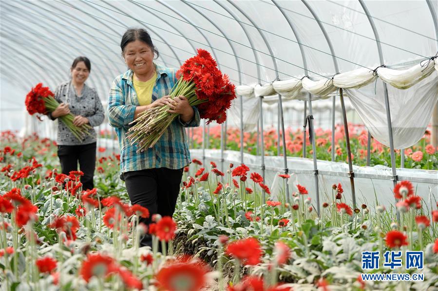 （大江奔流&mdash;&mdash;來自長江經(jīng)濟帶的報道&middot;新華全媒頭條&middot;圖文互動）（3）擘畫新時代中國發(fā)展新坐標&mdash;&mdash;深入推動長江經(jīng)濟帶發(fā)展述評  