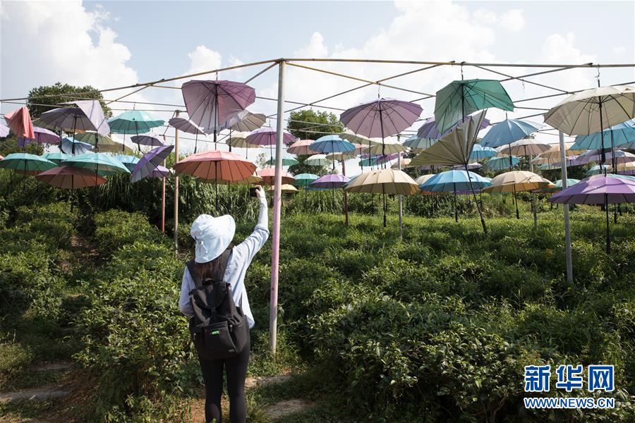 （大江奔流——來自長江經(jīng)濟(jì)帶的報(bào)道·圖文互動(dòng)）（4）在這里，做一個(gè)幸福的農(nóng)民