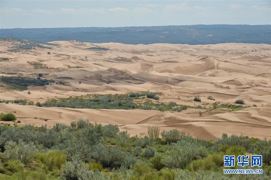 (在習(xí)近平新時(shí)代中國特色社會(huì)主義思想指引下——新時(shí)代新作為新篇章·圖文互動(dòng))(6)庫布其競(jìng)相演繹“點(diǎn)沙成金”傳奇