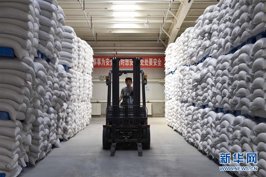 （新華全媒頭條&middot;圖文互動(dòng)）（6）去新疆！穿越古今絲綢之路