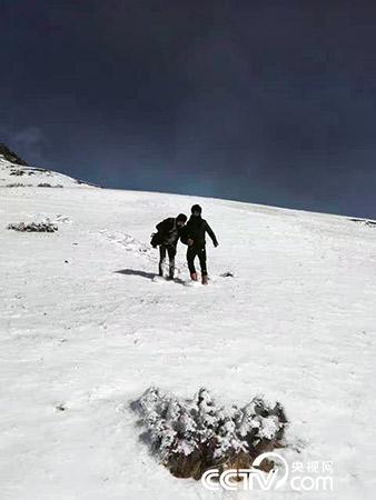 下雪天巡護(hù)也是常有的事。