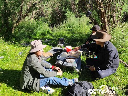 長(zhǎng)途跋涉途中休息。