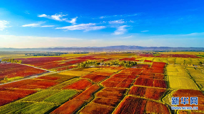 秋收的中國，你想象不到的美！但更美的是……