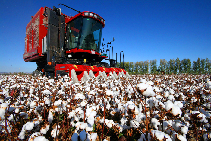 秋收的中國，你想象不到的美！但更美的是……