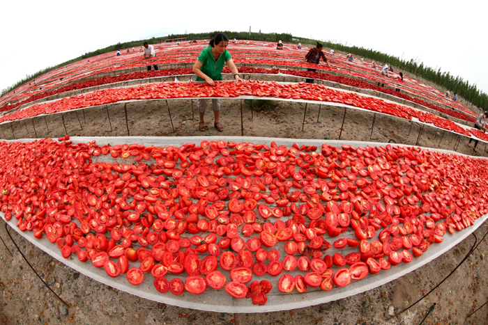 秋收的中國，你想象不到的美！但更美的是……