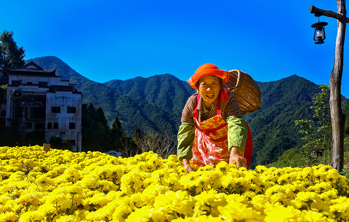 秋收的中國，你想象不到的美！但更美的是……