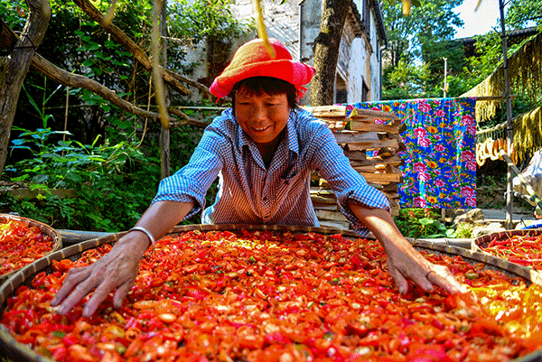 秋收的中國，你想象不到的美！但更美的是……