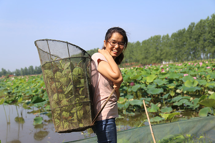 秋收的中國，你想象不到的美！但更美的是……