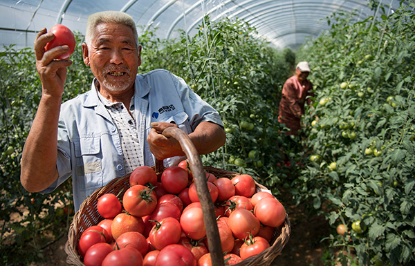秋收的中國，你想象不到的美！但更美的是……