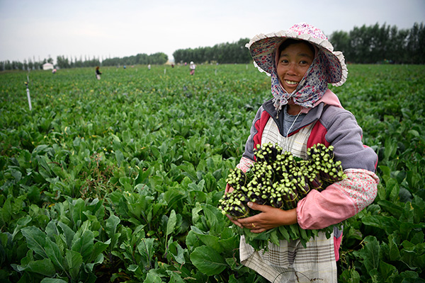 秋收的中國，你想象不到的美！但更美的是……