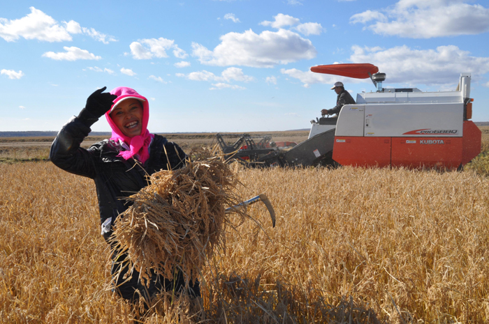 秋收的中國，你想象不到的美！但更美的是……