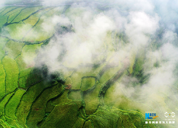 秋收的中國，你想象不到的美！但更美的是……
