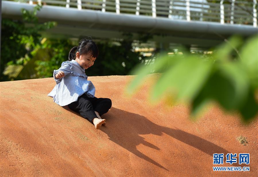 （圖文互動·百城百縣百企調研行）（3）“濕地海口”的生態(tài)文明建設實踐