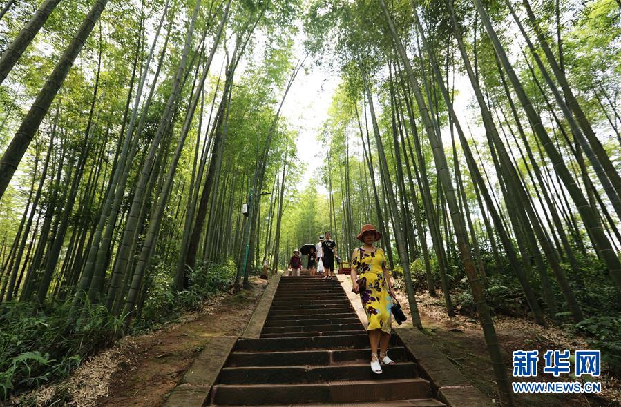 （在習(xí)近平新時(shí)代中國(guó)特色社會(huì)主義思想指引下&middot;慶祝改革開放40周年&middot;綠色發(fā)展&middot;圖文互動(dòng)）（1）向陽花木易為春&mdash;&mdash;綠色發(fā)展之&ldquo;木&rdquo;的故事