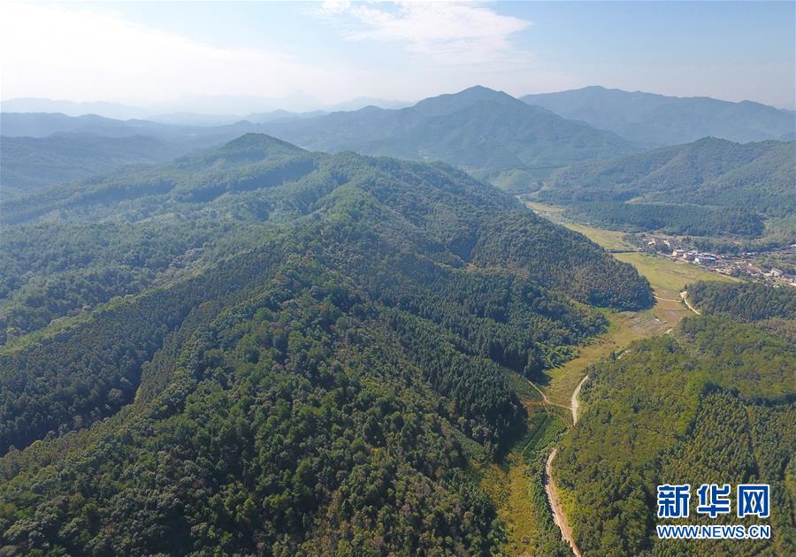 （在習(xí)近平新時(shí)代中國(guó)特色社會(huì)主義思想指引下&middot;慶祝改革開放40周年&middot;綠色發(fā)展&middot;圖文互動(dòng)）（3）向陽花木易為春&mdash;&mdash;綠色發(fā)展之&ldquo;木&rdquo;的故事