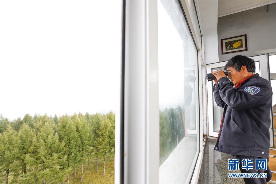 （新華全媒頭條&middot;圖文互動）（3）那一抹綠色，走進越來越多人心里&mdash;&mdash;河北塞罕壩續(xù)寫新時代綠色傳奇