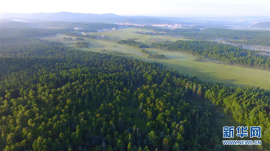（新華全媒頭條&middot;圖文互動）（5）那一抹綠色，走進越來越多人心里&mdash;&mdash;河北塞罕壩續(xù)寫新時代綠色傳奇