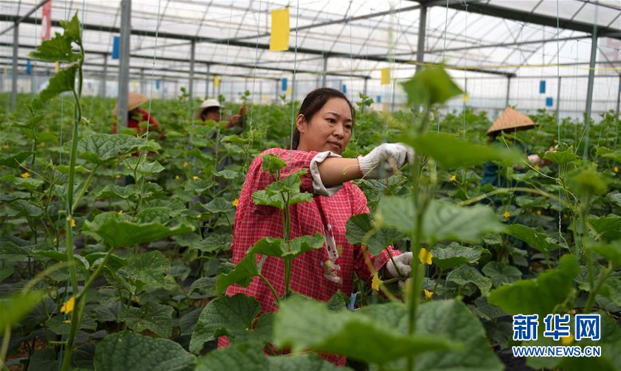 （新華全媒頭條&middot;圖文互動(dòng)）（11）心中有夢(mèng)想，腳下就有力量&mdash;&mdash;寫在&ldquo;中國(guó)夢(mèng)&rdquo;提出六周年之際