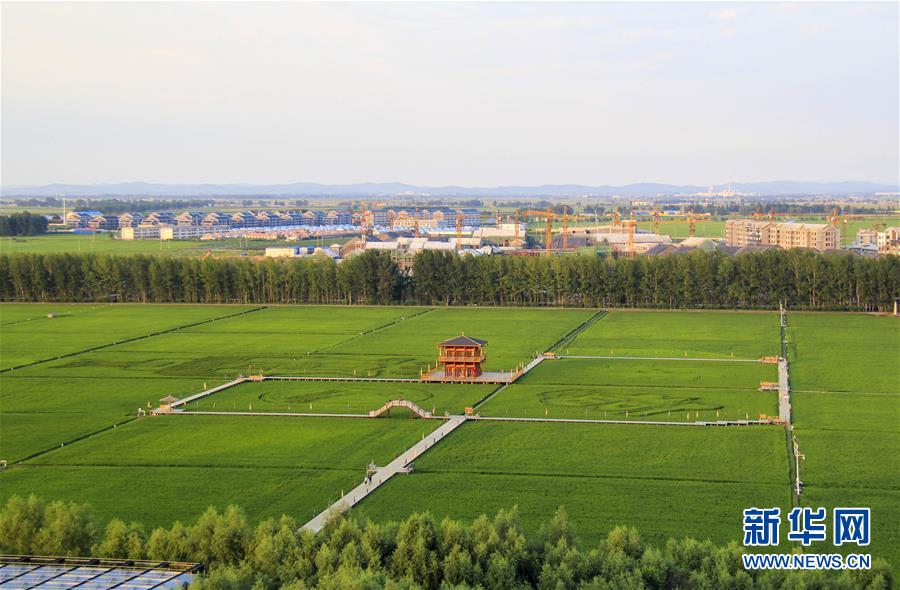 (慶祝改革開放40周年基層行·鄉(xiāng)鎮(zhèn)篇·圖文互動)(3)三產(chǎn)融合培育鄉(xiāng)村振興熱土——吉林孤店子鎮(zhèn)“村變城”背后的故事