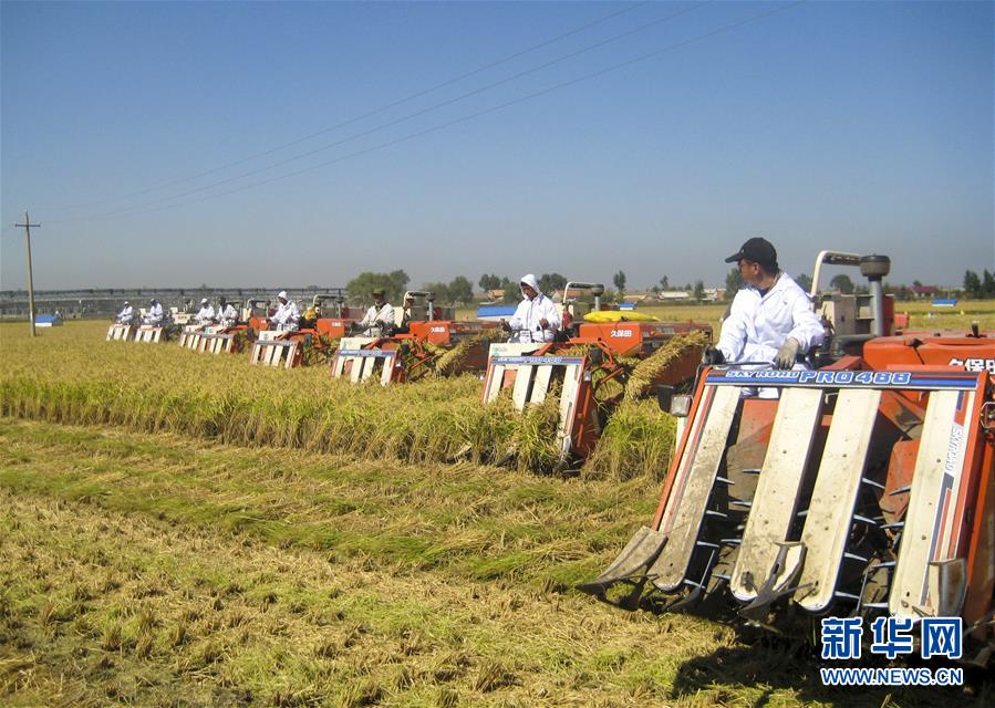 (慶祝改革開放40周年基層行·鄉(xiāng)鎮(zhèn)篇·圖文互動)(6)三產(chǎn)融合培育鄉(xiāng)村振興熱土——吉林孤店子鎮(zhèn)“村變城”背后的故事