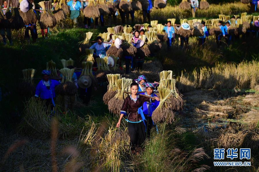 （輝煌60年&middot;壯美新廣西&middot;圖文互動(dòng)）（6）攜手描繪八桂大地上的美麗畫卷&mdash;&mdash;寫在廣西壯族自治區(qū)成立60周年之際