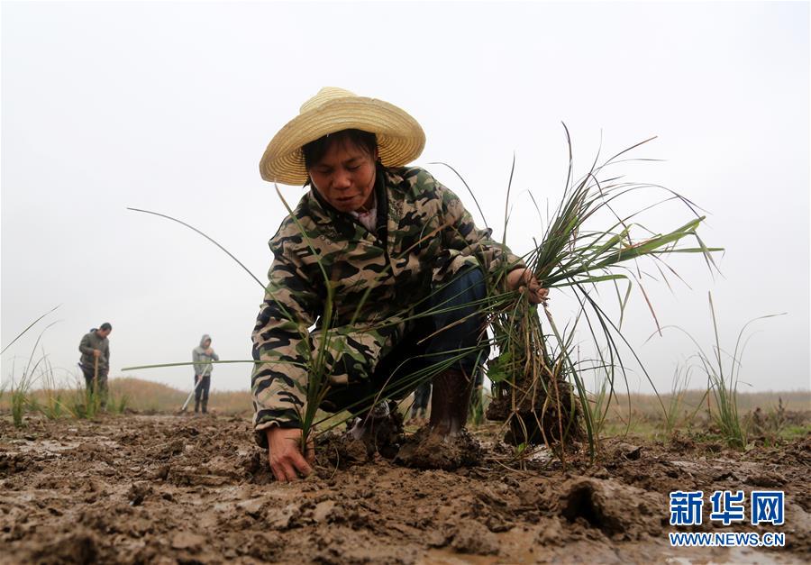 （新華視點&middot;回望2018&middot;圖文互動）（3）2018年新華社曝光多起破壞生態(tài)事件，記者年底追訪發(fā)現(xiàn)&hellip;&hellip;