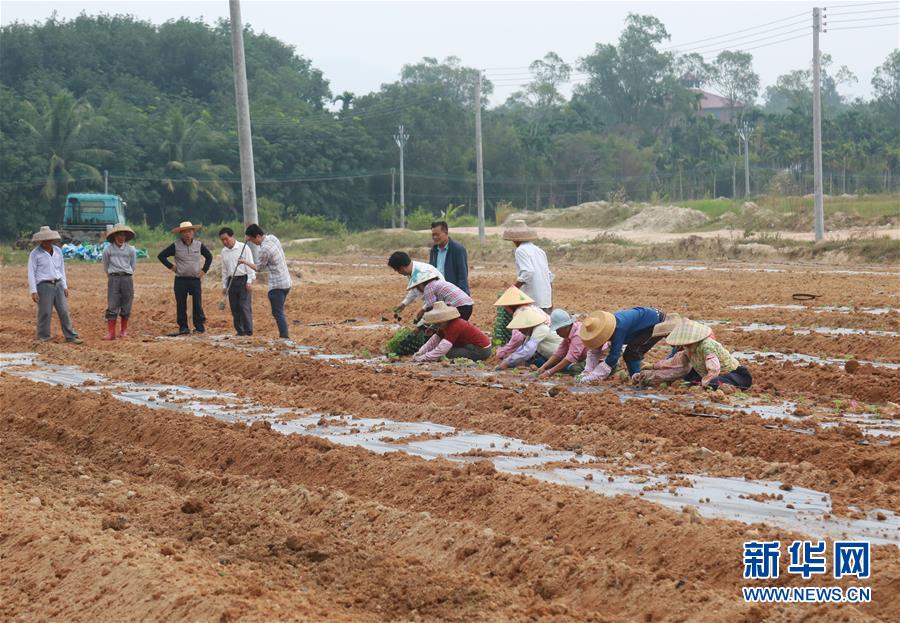 （新華視點&middot;回望2018&middot;圖文互動）（7）2018年新華社曝光多起破壞生態(tài)事件，記者年底追訪發(fā)現(xiàn)&hellip;&hellip;