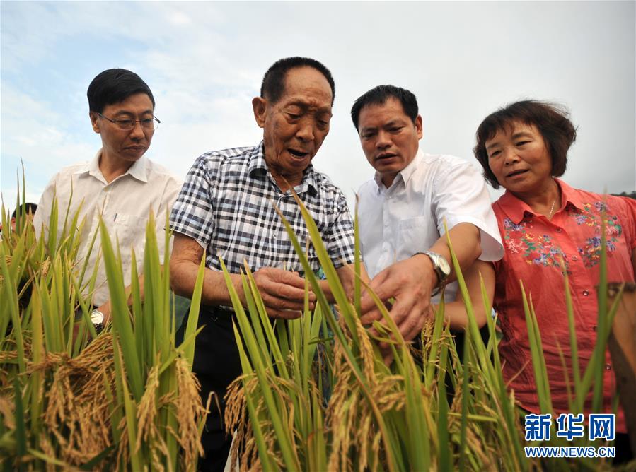 (新華全媒頭條·圖文互動(dòng))(14)在時(shí)代大潮中書(shū)寫(xiě)時(shí)代傳奇——致敬百名改革先鋒