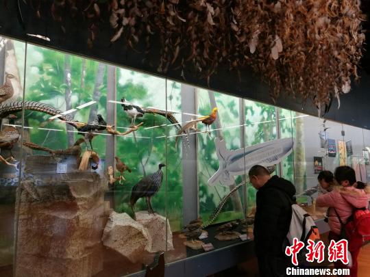 圖為展覽現(xiàn)場(chǎng)?！『h(yuǎn)航 攝