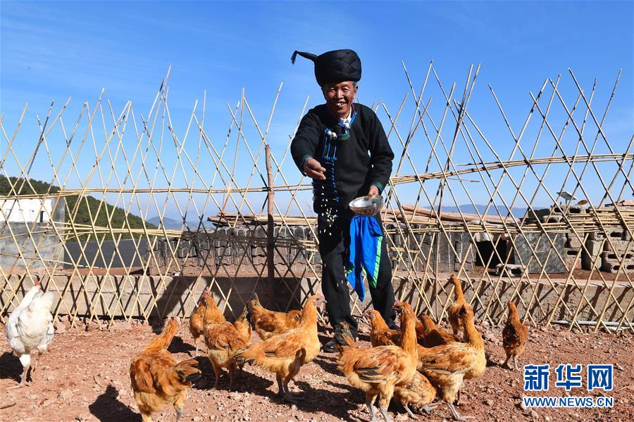 （新華全媒頭條·奮進(jìn)新時(shí)代·迎接兩會(huì)特別報(bào)道·圖文互動(dòng)）（5）新征程，向著偉大夢(mèng)想前進(jìn)——從黨的十九大到2018年全國(guó)兩會(huì)